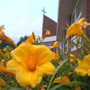 easter flower